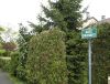 i5010002.jpg (64828 bytes)